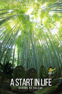A Start in Life - Honore de Balzac - E-Book