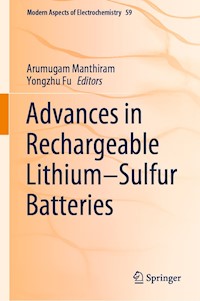 Advances in Rechargeable Lithium–Sulfur Batteries - - E-Book