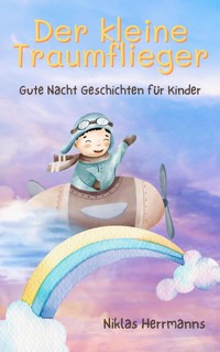 Der kleine Traumflieger: Gute Nacht Geschichten für Kinder - Niklas Herrmanns - E-Book