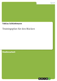 Trainingsplan für den Rücken - Tobias Schlattmann - E-Book