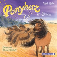Ponyherz 14: Ponyherz im Sturm - Usch Luhn - Hörbuch