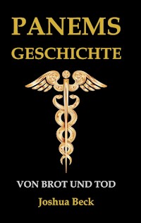 Snowfall - Joshua Beck - E-Book