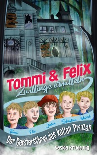 Tommi und Felix Zwillinge ermitteln - Saskia Meixner - E-Book
