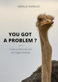 You got a problem ? - Gérald Vignaud - E-Book