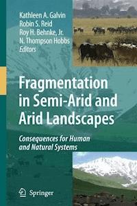 Fragmentation in Semi-Arid and Arid Landscapes -  - E-Book