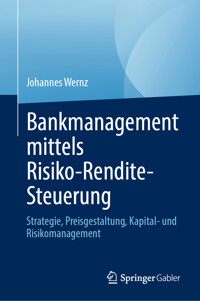 Bankmanagement mittels Risiko-Rendite-Steuerung - Johannes Wernz - E-Book