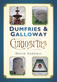 Dumfries and Galloway Curiosities - David Carroll - E-Book
