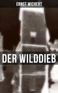 Der Wilddieb - Ernst Wichert - E-Book