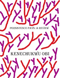Persistence Pays - Kenechukwu Obi - E-Book