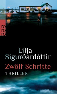 Zwölf Schritte - Lilja Sigurdardóttir - E-Book