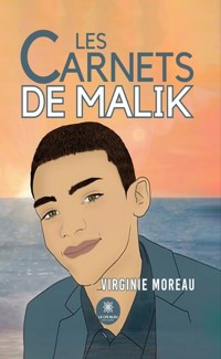 Les carnets de Malik - Virginie Moreau - E-Book