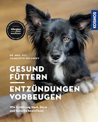 Gesund füttern - Entzündungen vorbeugen - Charlotte Kolodzey - E-Book