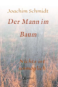 Der Mann im Baum - Joachim Schmidt - E-Book