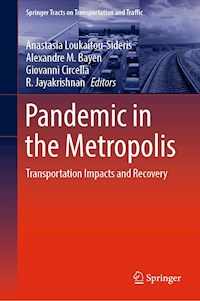 Pandemic in the Metropolis -  - E-Book
