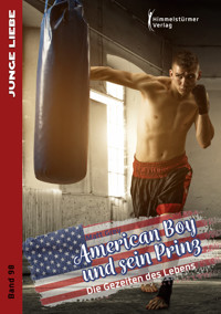 American Boy und sein Prinz 3 - Matt Grey - E-Book
