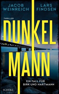 Dunkelmann - Lars Findsen - E-Book