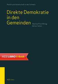 Direkte Demokratie in den Gemeinden - Martina Flick Witzig - E-Book