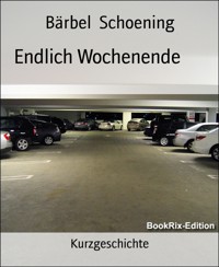 Endlich Wochenende - Bärbel Schoening - E-Book
