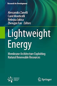 Lightweight Energy -  - E-Book