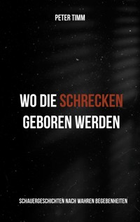 Wo die Schrecken geboren werden - Peter Timm - E-Book