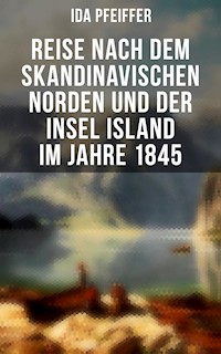Reise nach dem skandinavischen Norden und der Insel Island im Jahre 1845 - Ida Pfeiffer - E-Book