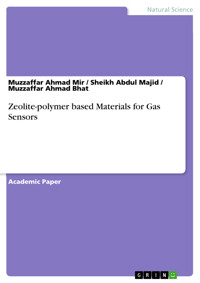 Zeolite-polymer based Materials for Gas Sensors - Muzzaffar Ahmad Mir - E-Book