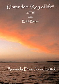 Unter dem "Key of life" 2.Teil - Erich Beyer - E-Book