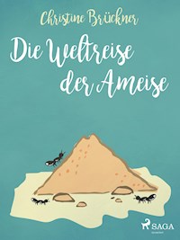 Die Weltreise der Ameise - Christine Brückner - E-Book
