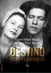 Destino - Virginia Salazar Wright - E-Book