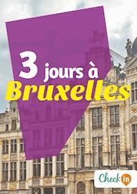 3 jours à Bruxelles - Christophe Piron - E-Book