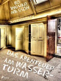 Das Abenteuer am Wasserturm - Bo Ingvar Nilsson - E-Book