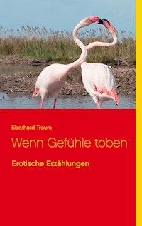 Wenn Gefühle toben - Eberhard Traum - E-Book