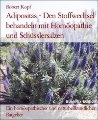 Adipositas - Den Stoffwechsel behandeln mit Homöopathie und Schüsslersalzen - Robert Kopf - E-Book