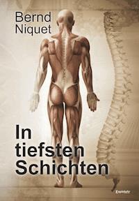 In tiefsten Schichten - Bernd Niquet - E-Book