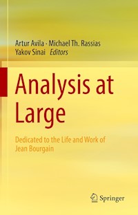 Analysis at Large -  - E-Book