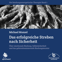 Das erfolgreiche Streben nach Sicherheit - Michael Munzel - Hörbuch