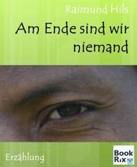 Am Ende sind wir niemand - Raimund Hils - E-Book