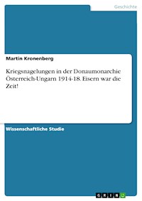 Kriegsnagelungen in der Donaumonarchie Österreich-Ungarn 1914-18. Eisern war die Zeit! - Martin Kronenberg - E-Book