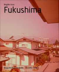 Fukushima - Brigitte Voß - kostenlos E-Book