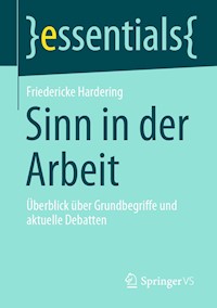 Sinn in der Arbeit - Friedericke Hardering - E-Book