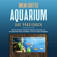 Mein erstes Aquarium - Das Praxisbuch: Wie Sie Schritt für Schritt Ihr Aquarium einrichten und die passenden Fische auswählen - inkl. der besten Pflegetipps - Andreas Grapengeter - Hörbuch