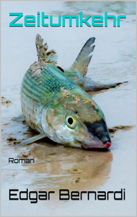 Zeitumkehr - Edgar Bernardi - E-Book