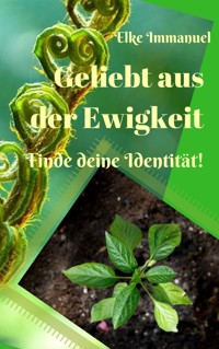 Geliebt aus der Ewigkeit - Elke Immanuel - E-Book