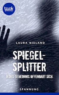 Spiegelsplitter - Laura Nieland - E-Book
