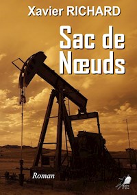 Sac de Nœuds - Xavier Richard - E-Book