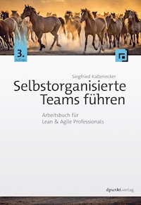 Selbstorganisierte Teams führen - Siegfried Kaltenecker - E-Book