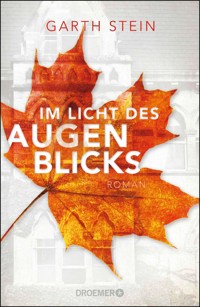 Im Licht des Augenblicks - Garth Stein - E-Book