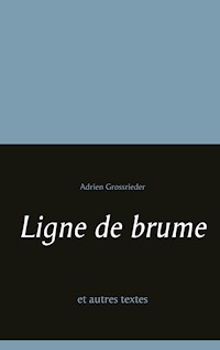 Ligne de brume - Adrien Grossrieder - E-Book