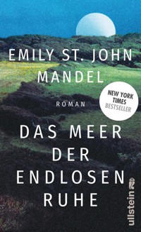 Das Meer der endlosen Ruhe - Emily St. John Mandel - E-Book
