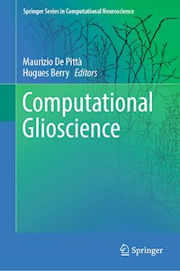 Computational Glioscience -  - E-Book